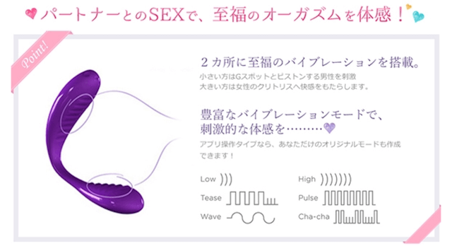 we-vibe sync2